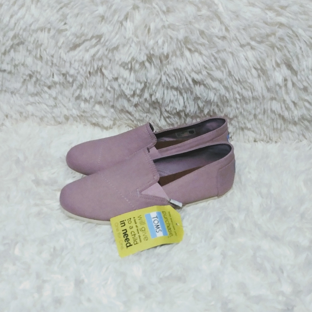 Woman Toms Shoes bnwt - Picture 5 of 9